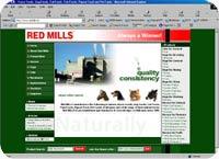 small-business-websites portrait